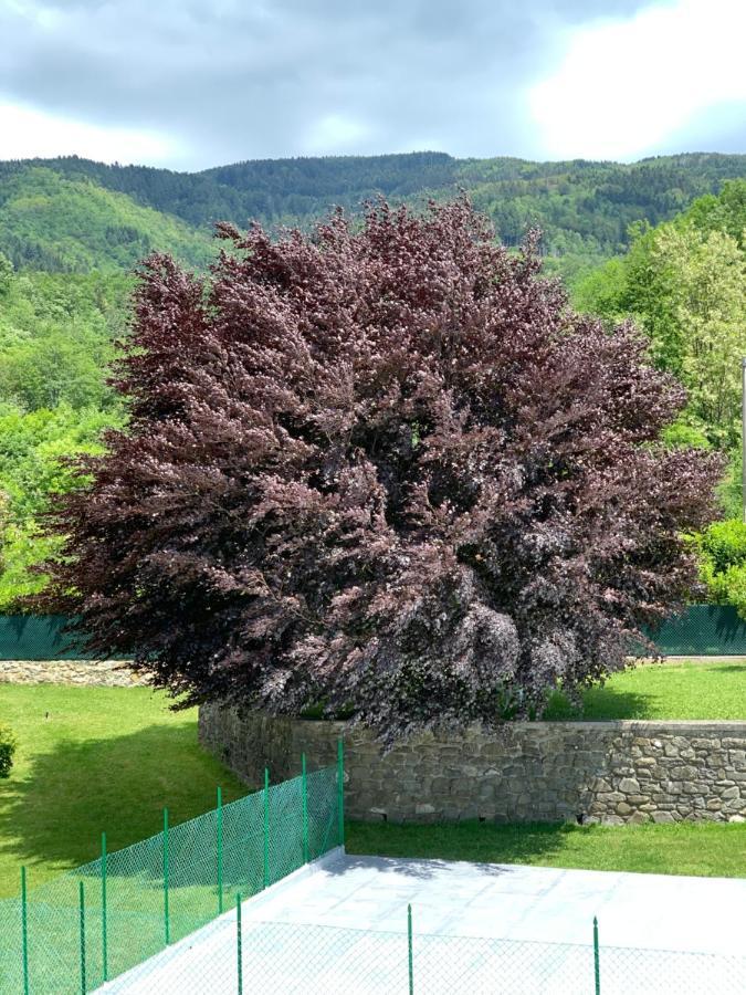 Nidi Del Faggio Rosso - Family Holiday Home Maresca Екстер'єр фото