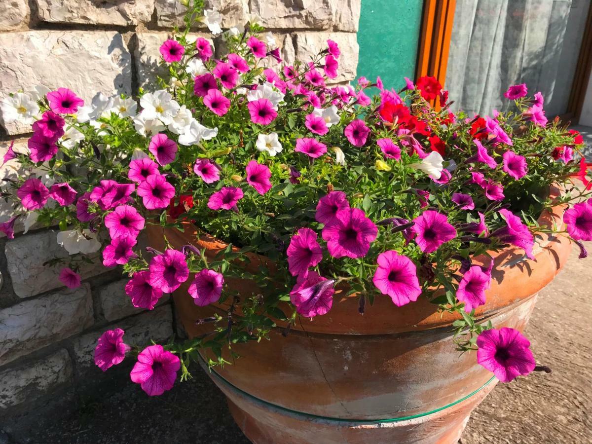 Nidi Del Faggio Rosso - Family Holiday Home Maresca Екстер'єр фото